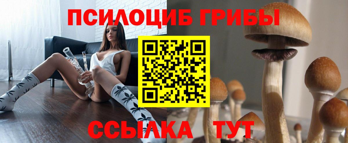 Галлюциногенные грибы Cubensis  Вход с VPN  купить наркотики сайты  Елабуга 